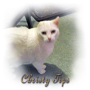 The Digglers' Cat ~ Christy Tips